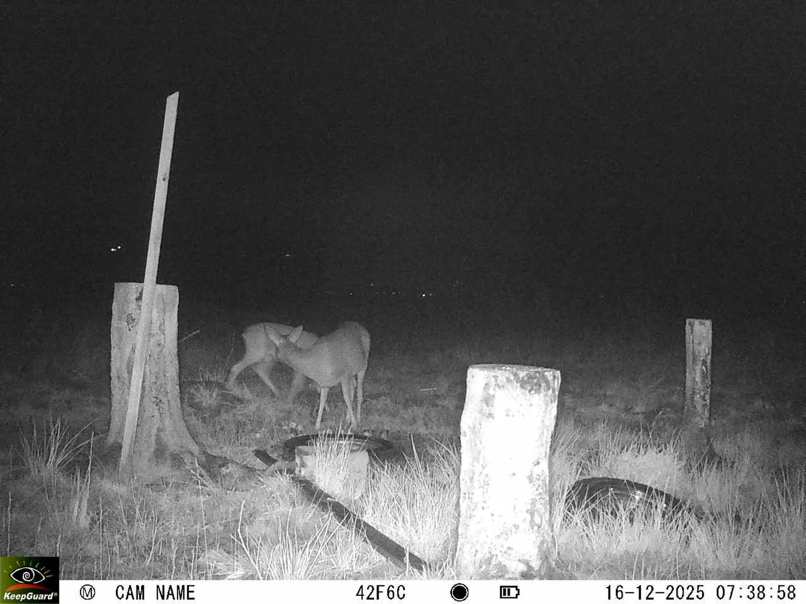 Bild: 1765863623894182336_12160189.webp