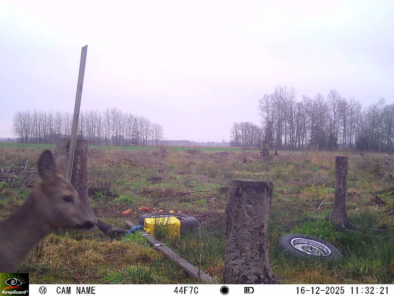 Bild: 1765877627911063814_12160191.webp