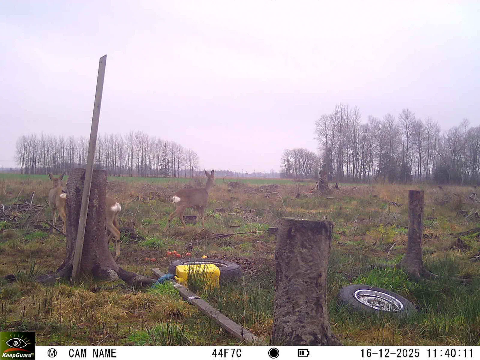 Bild: 1765878103533695880_12160192.webp