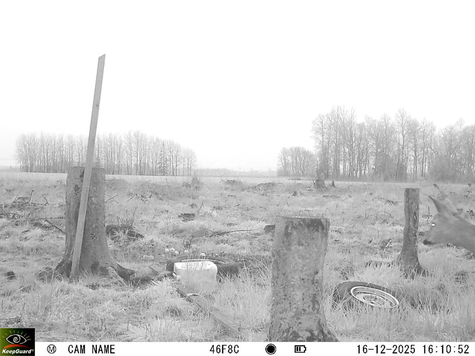 Bild: 1765894338579676431_12160193.webp