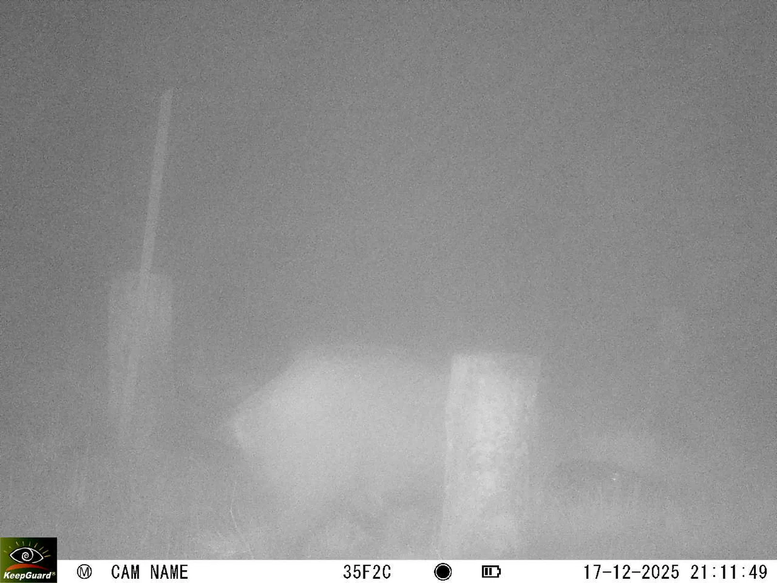 Bild: 1765998796001366687_12170197.webp