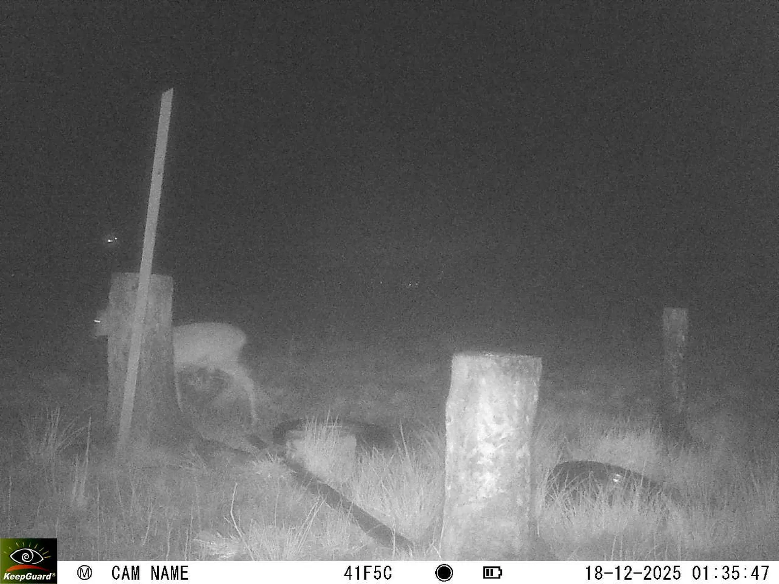 Bild: 1766014633245063066_12180198.webp