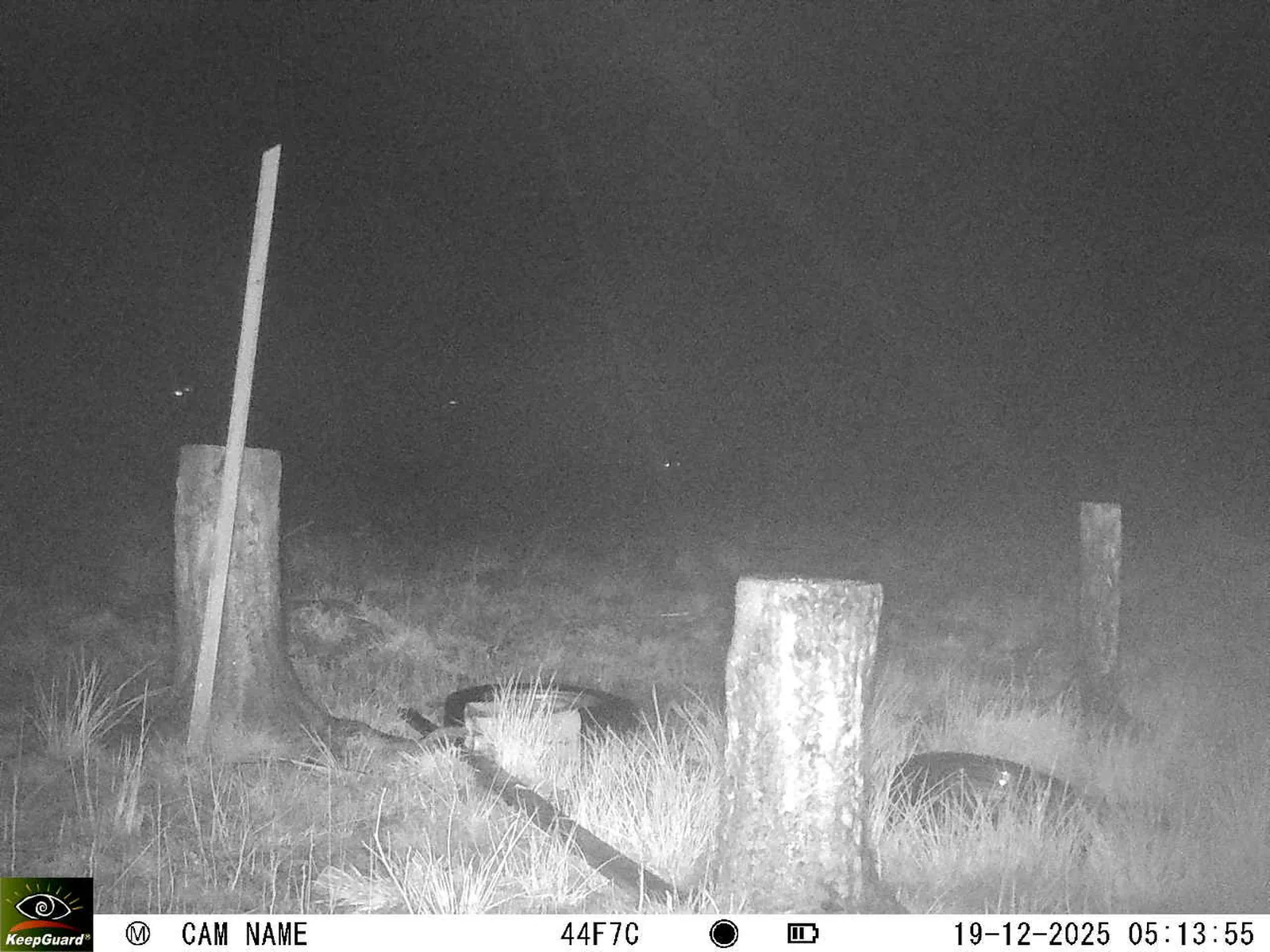 Bild: 1766114122278318214_12190201.webp