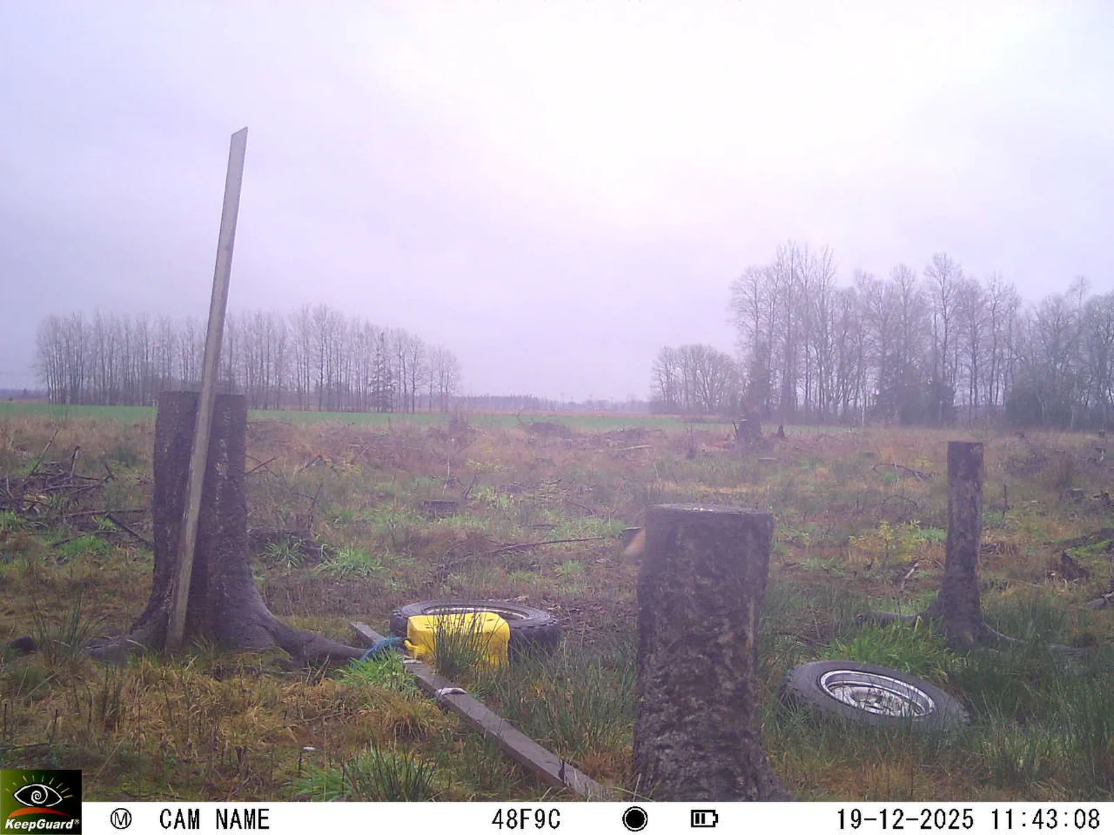 Bild: 1766137476074528065_12190202.webp