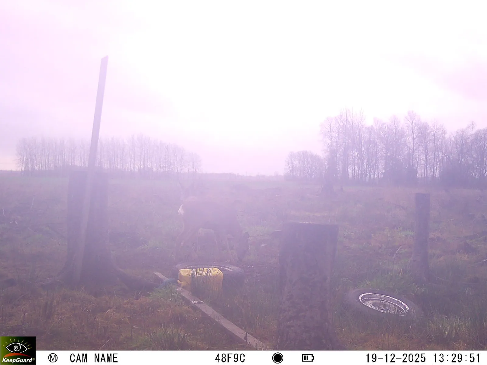 Bild: 1766143880594623067_12190203.webp