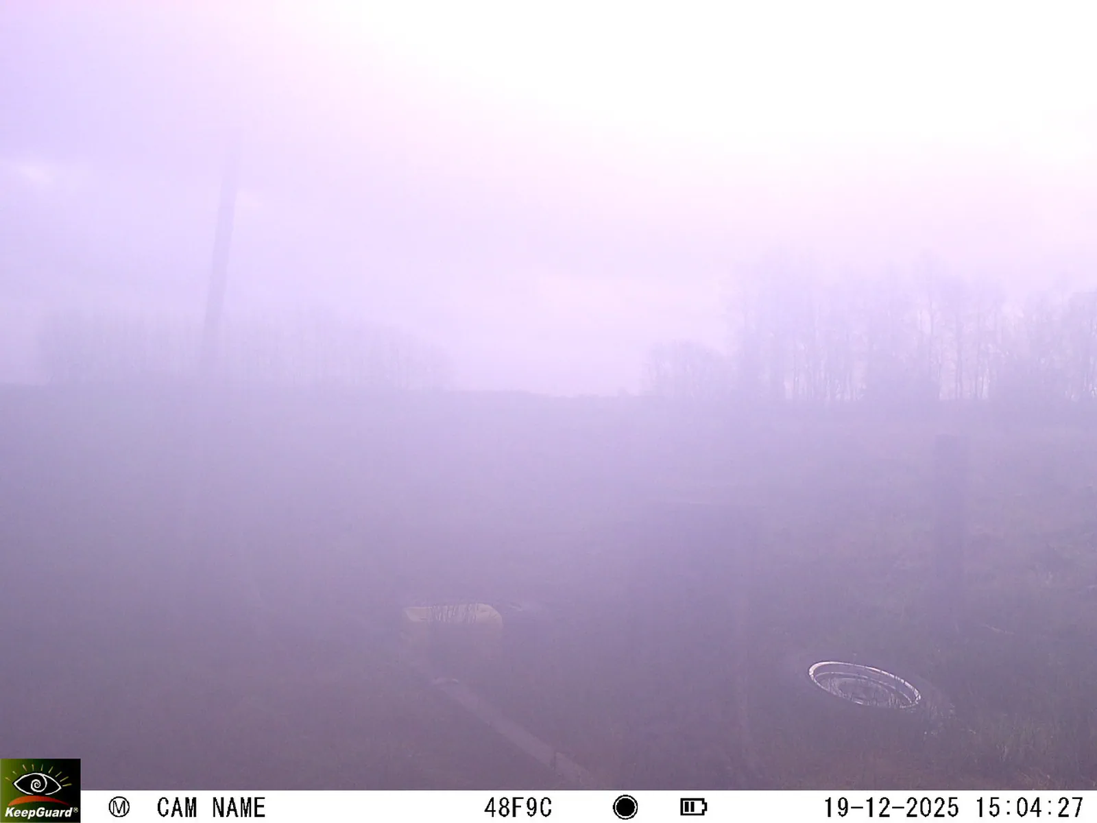 Bild: 1766149553668835243_12190204.webp