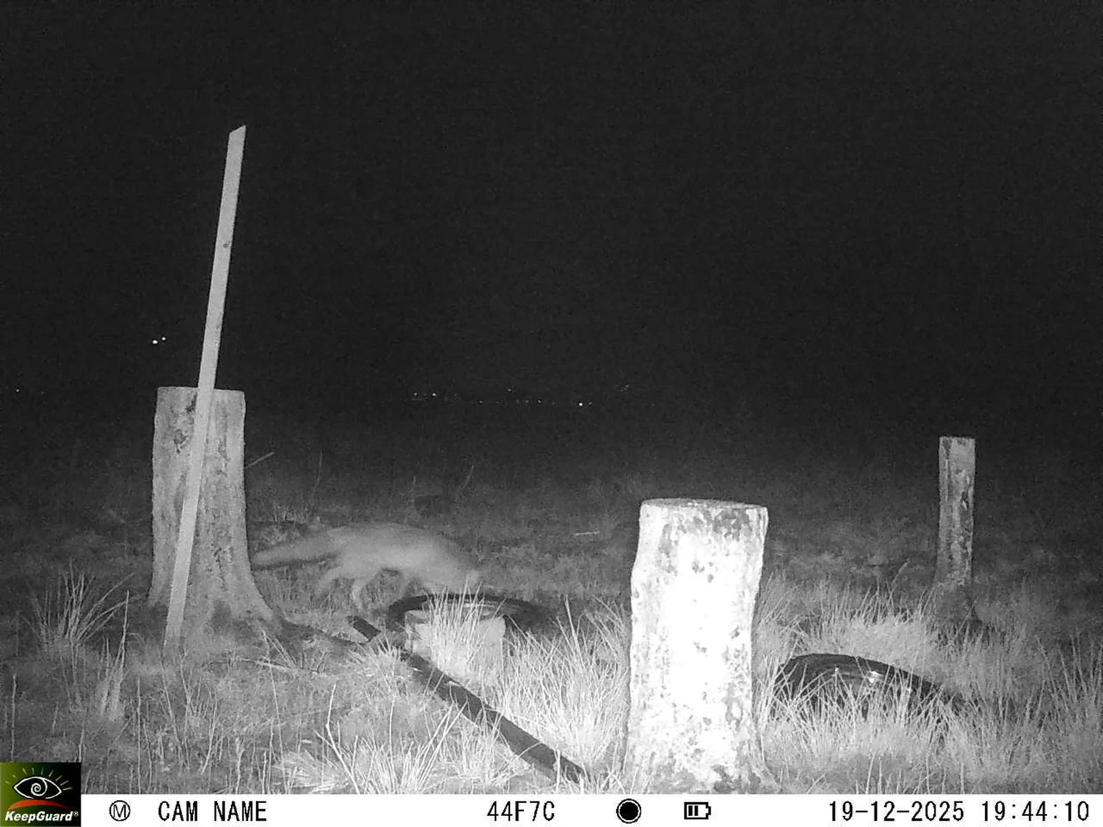 Bild: 1766166338158938646_12190206.webp