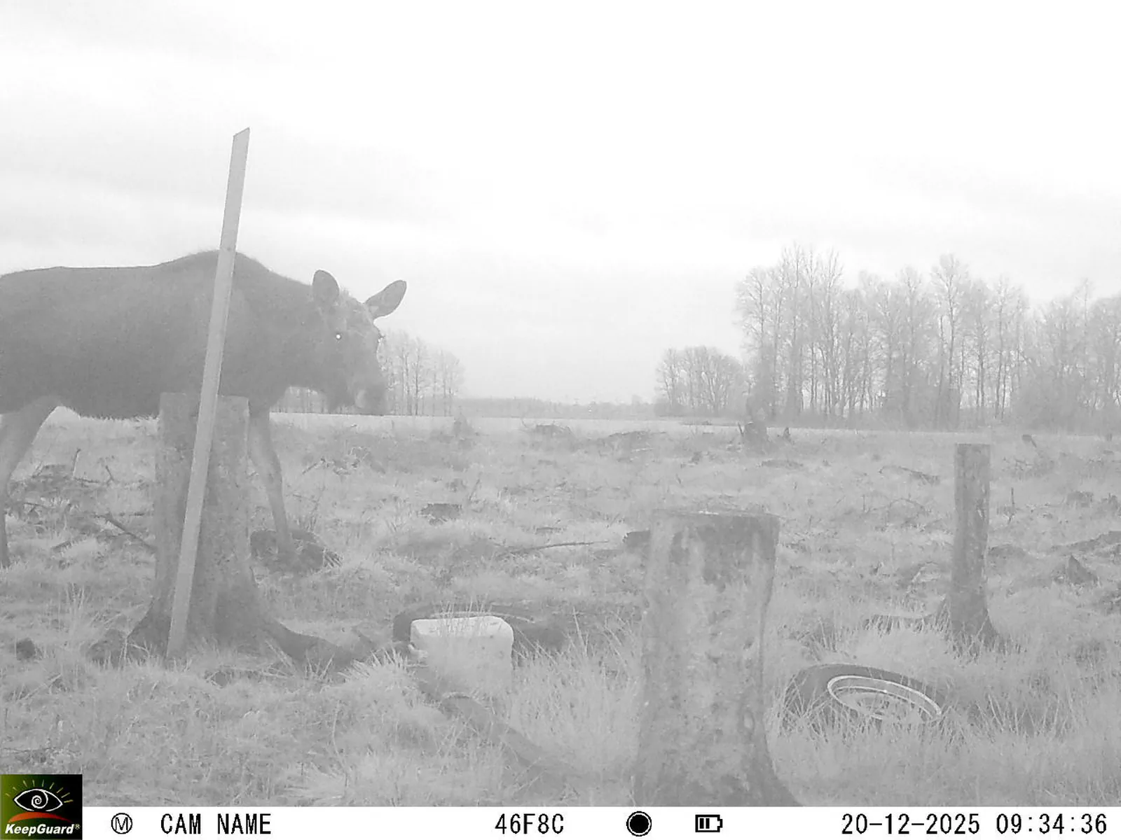 Bild: 1766216166983908129_12200207.webp