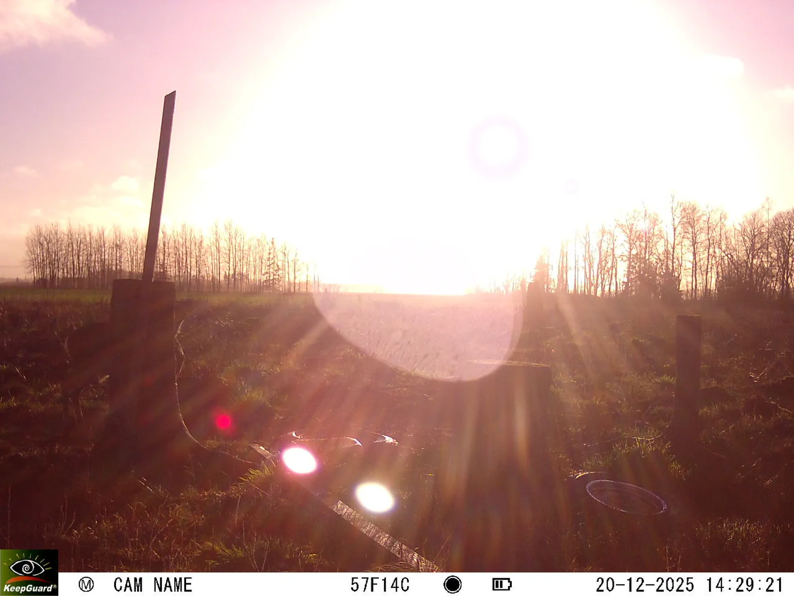 Bild: 1766233850646669307_12200208.webp