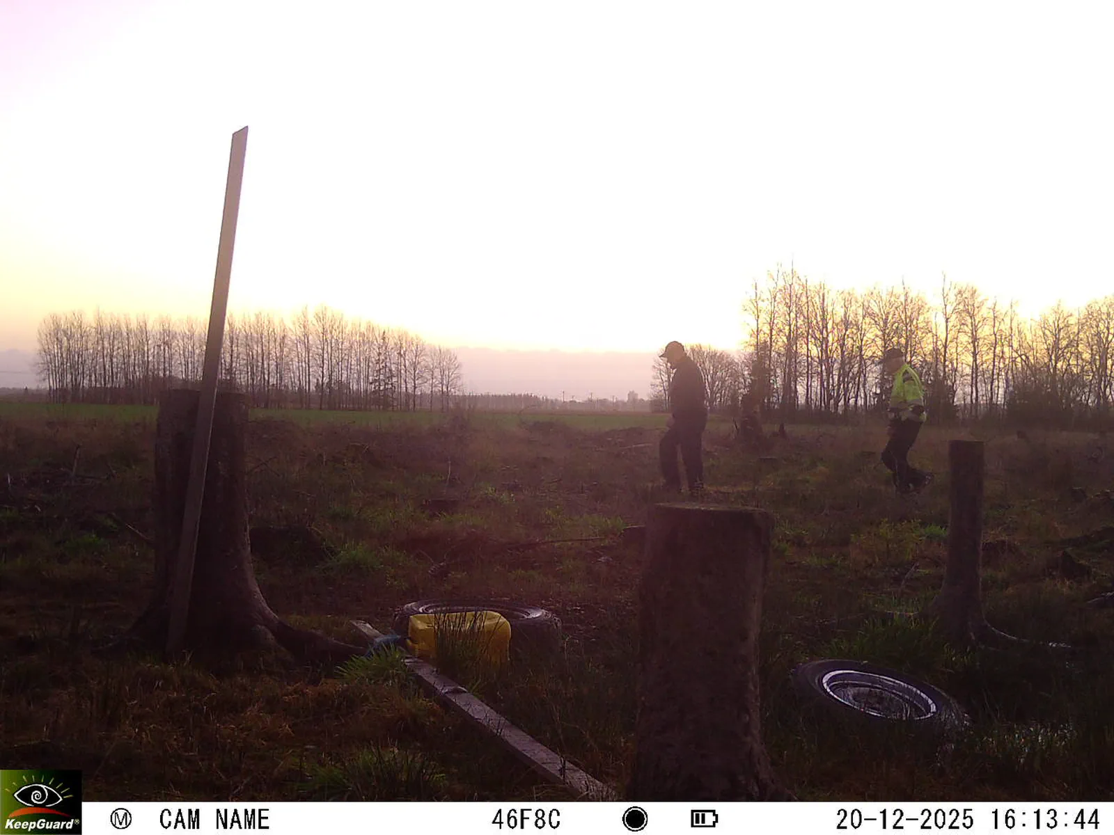 Bild: 1766240111022504086_12200210.webp