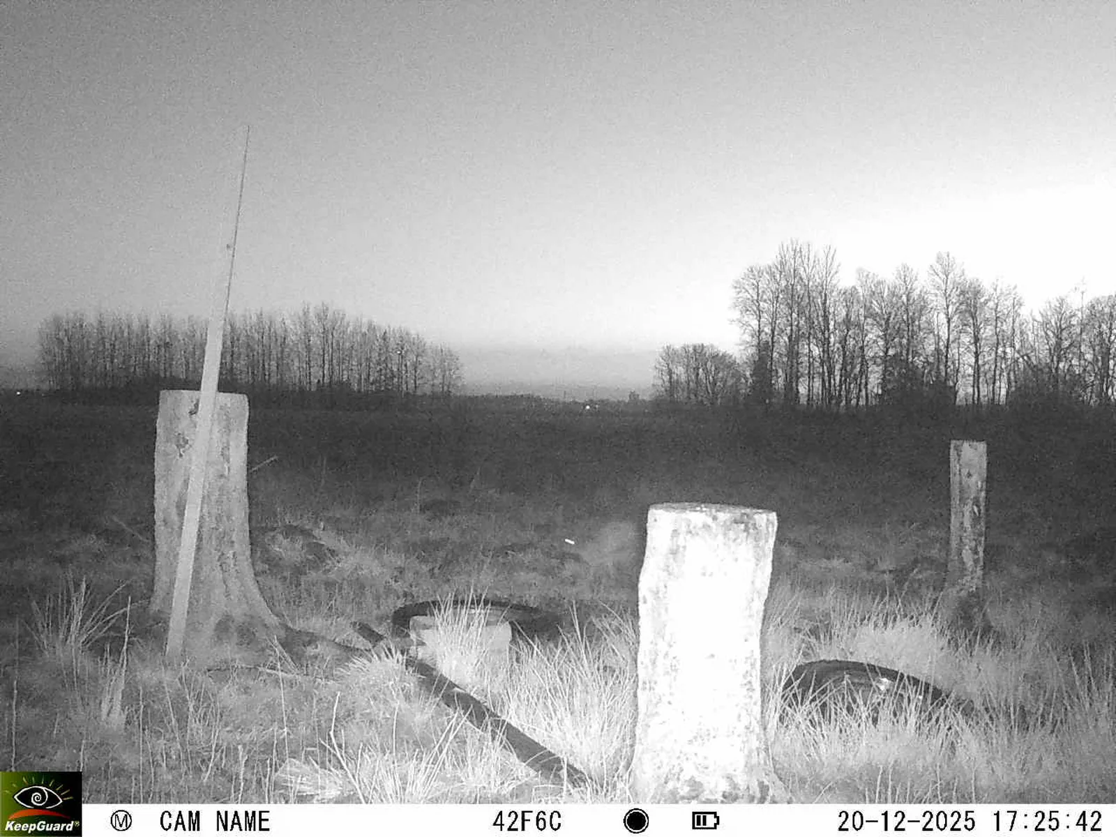 Bild: 1766244432005444176_12200211.webp