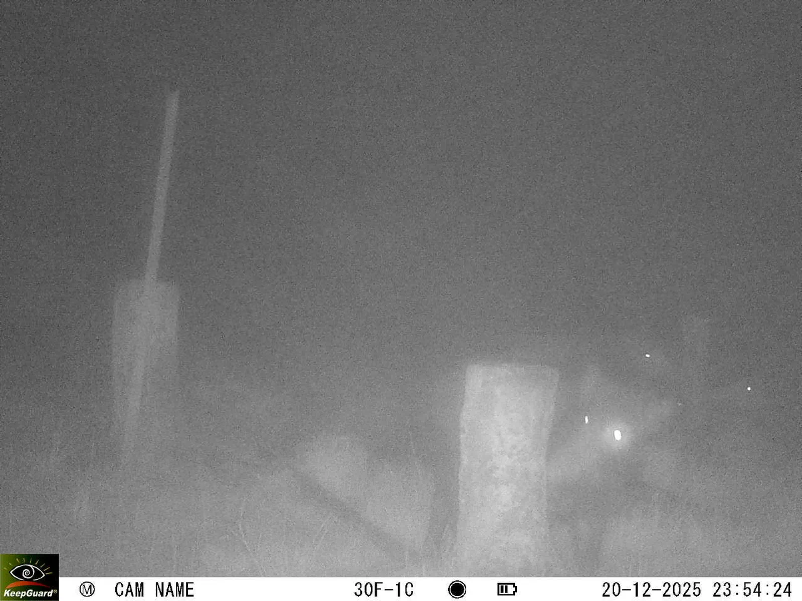 Bild: 1766267756260411948_12200212.webp