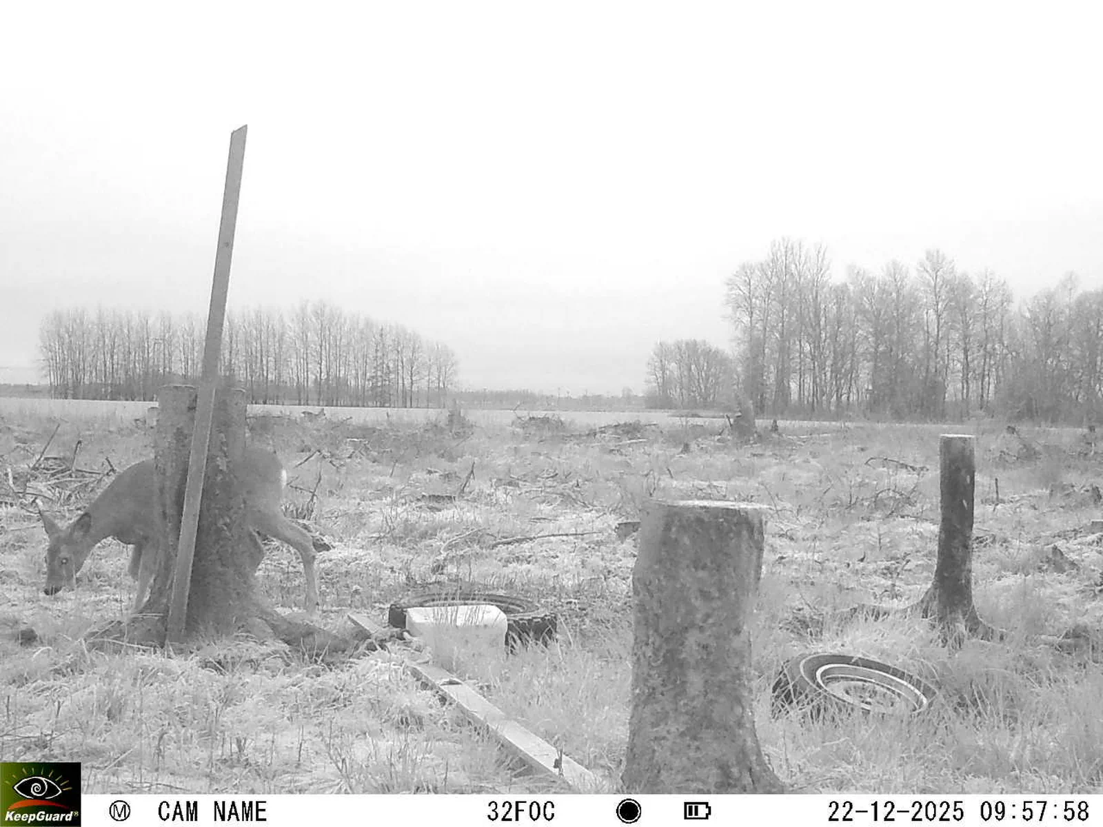 Bild: 1766390375454201420_12220213.webp