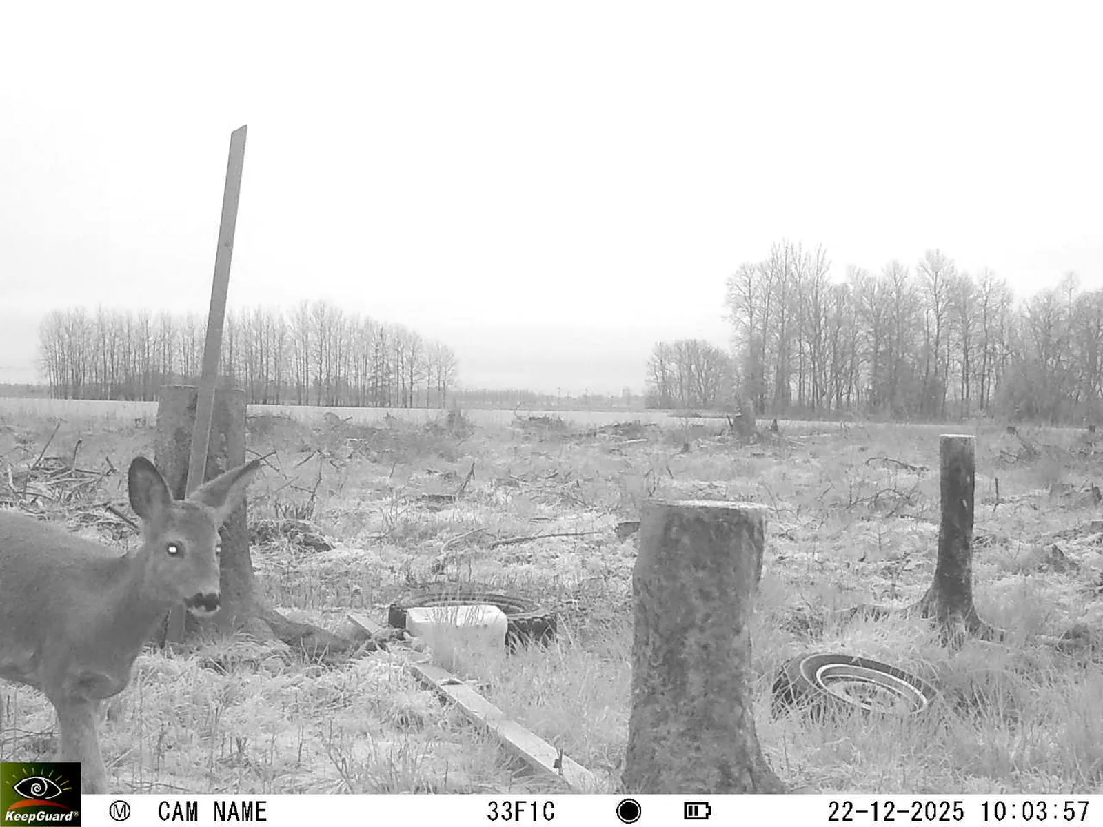 Bild: 1766390727464283004_12220214.webp