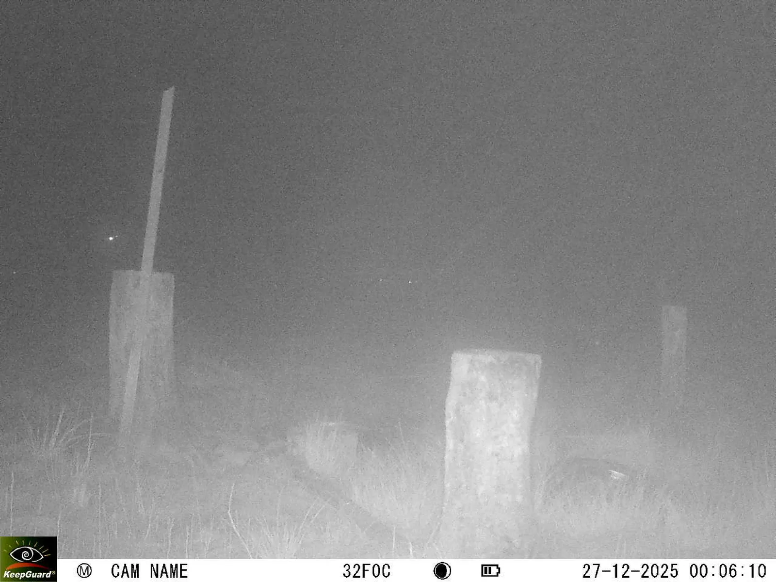 Bild: 1766786869465223921_12270227.webp