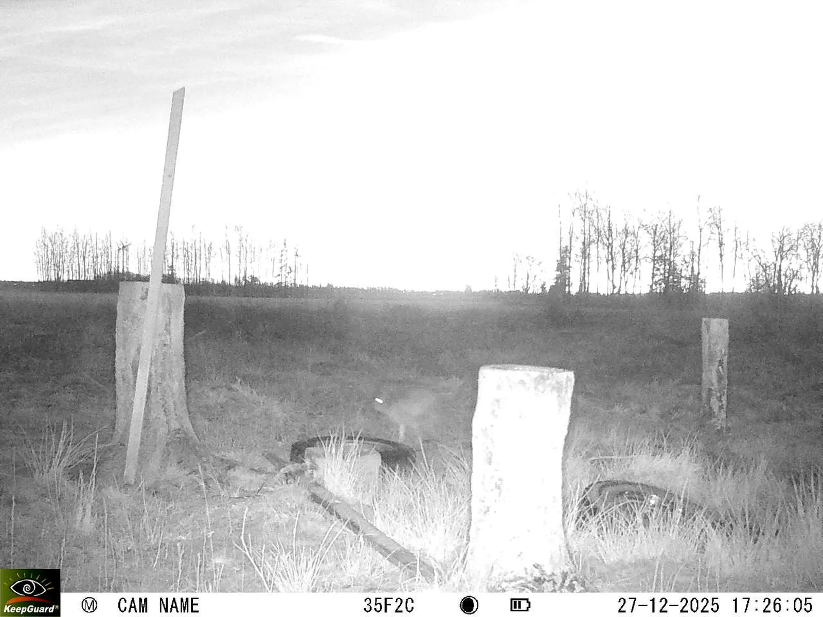 Bild: 1766849265373271495_12270228.webp