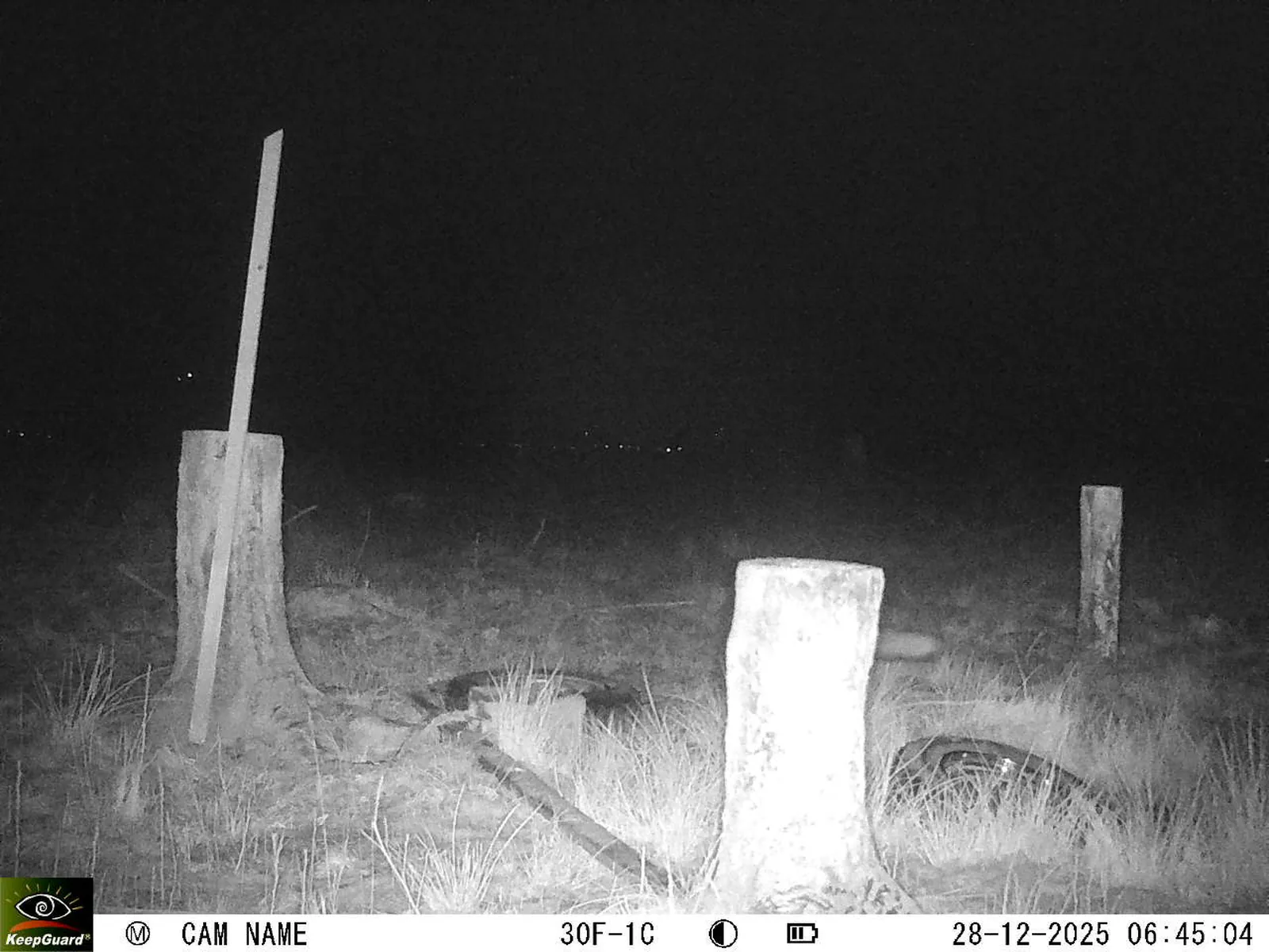 Bild: 1766897205225799051_12280229.webp