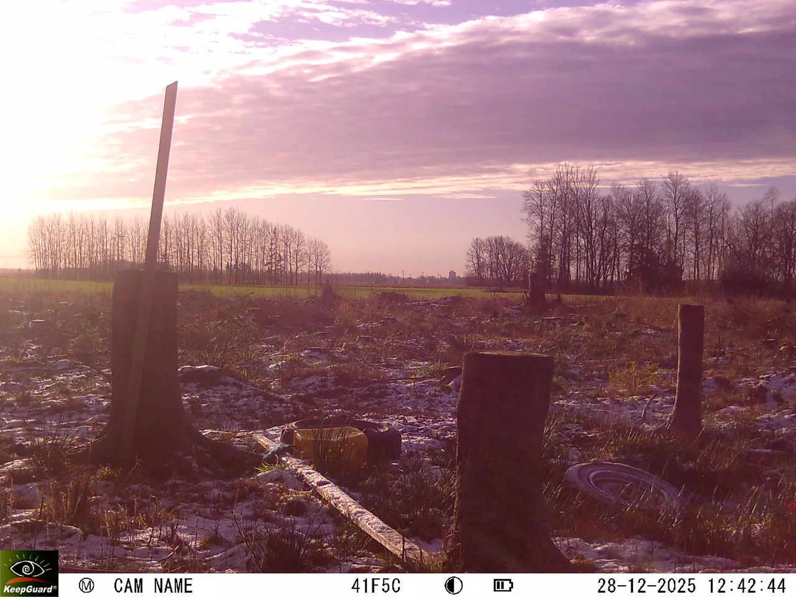 Bild: 1766918663761786012_12280230.webp