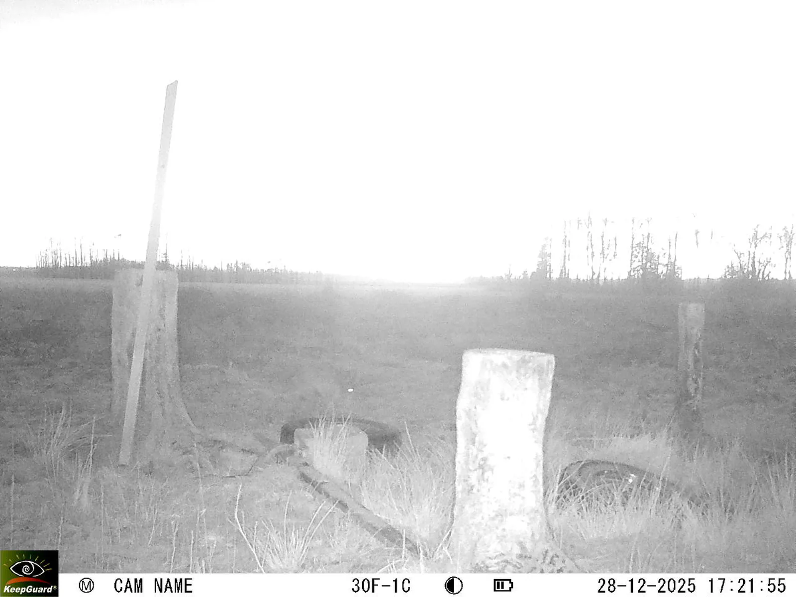 Bild: 1766935421489408236_12280231.webp