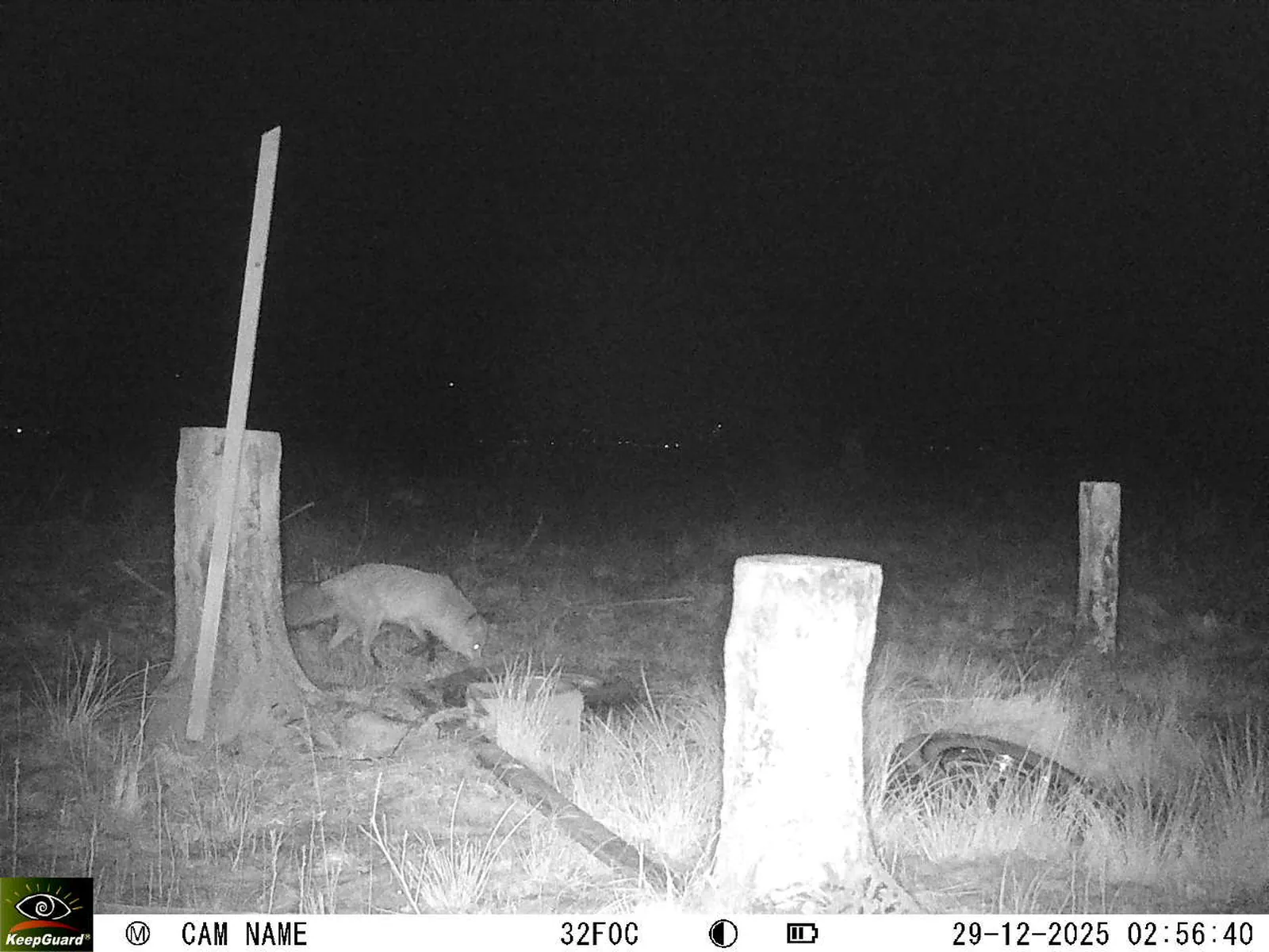 Bild: 1766969904662884948_12290232.webp