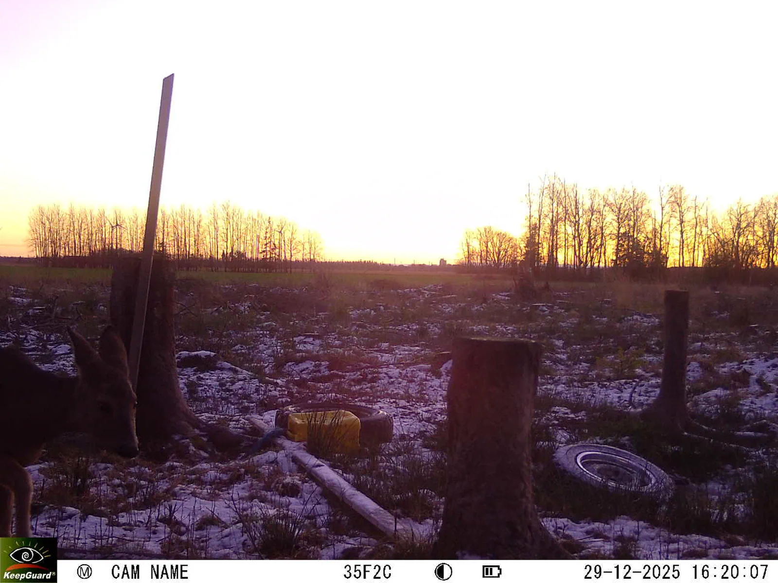 Bild: 1767018112153187305_12290234.webp