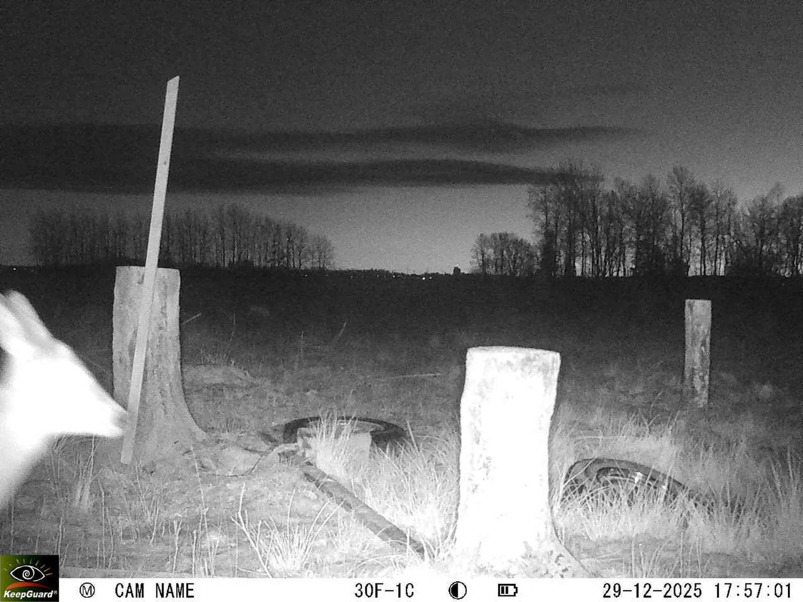 Bild: 1767023923016541380_12290236.webp