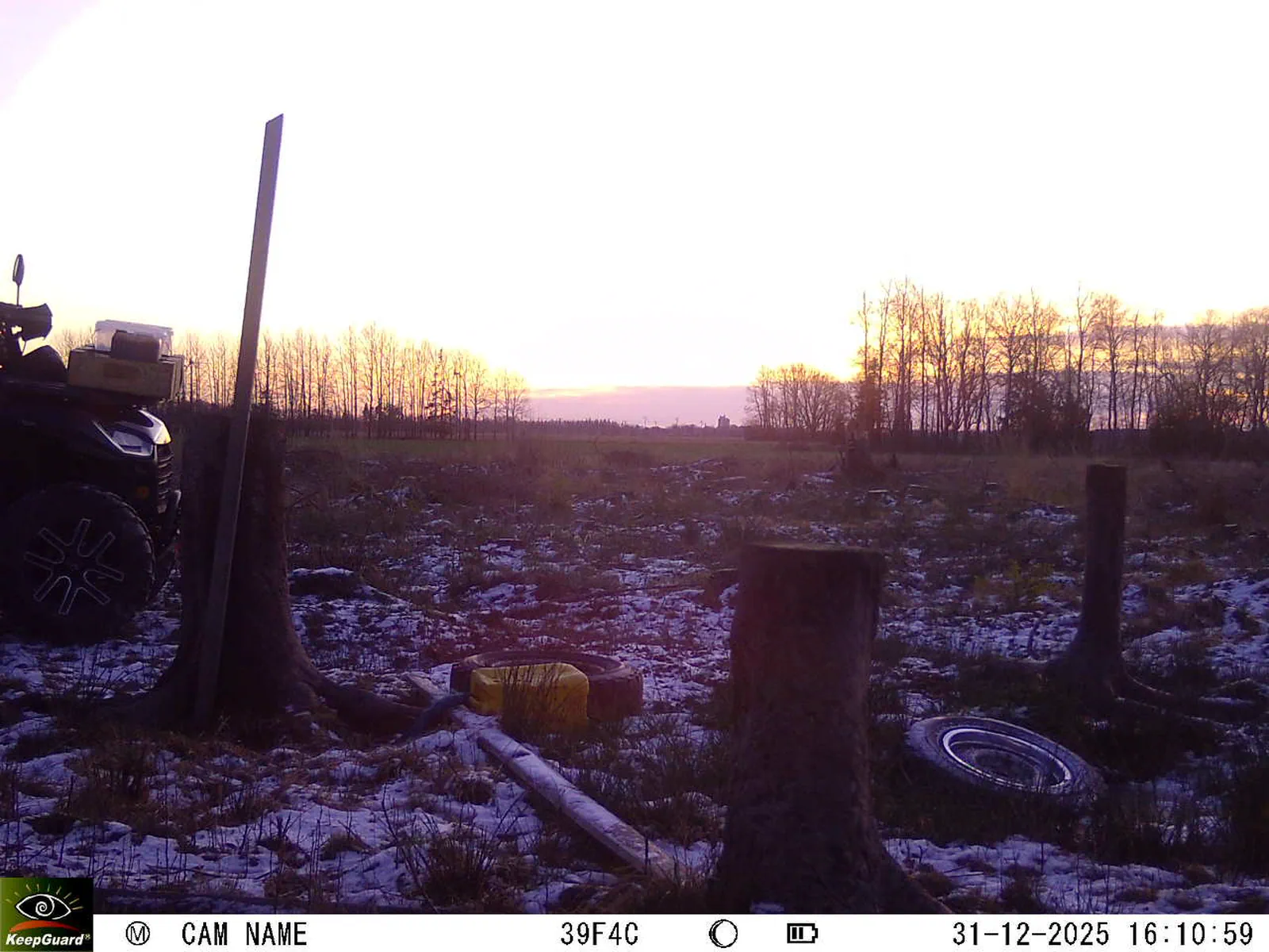 Bild: 1767190366704046985_12310242.webp