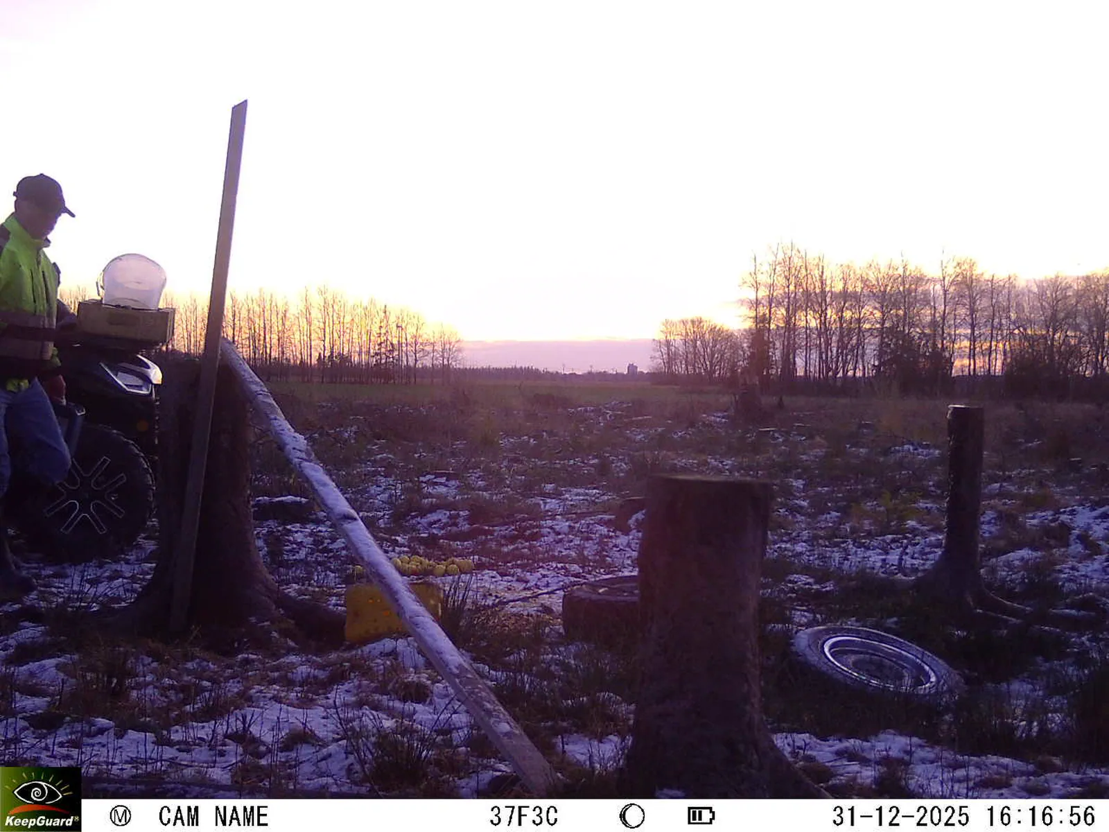 Bild: 1767190721138696800_12310243.webp