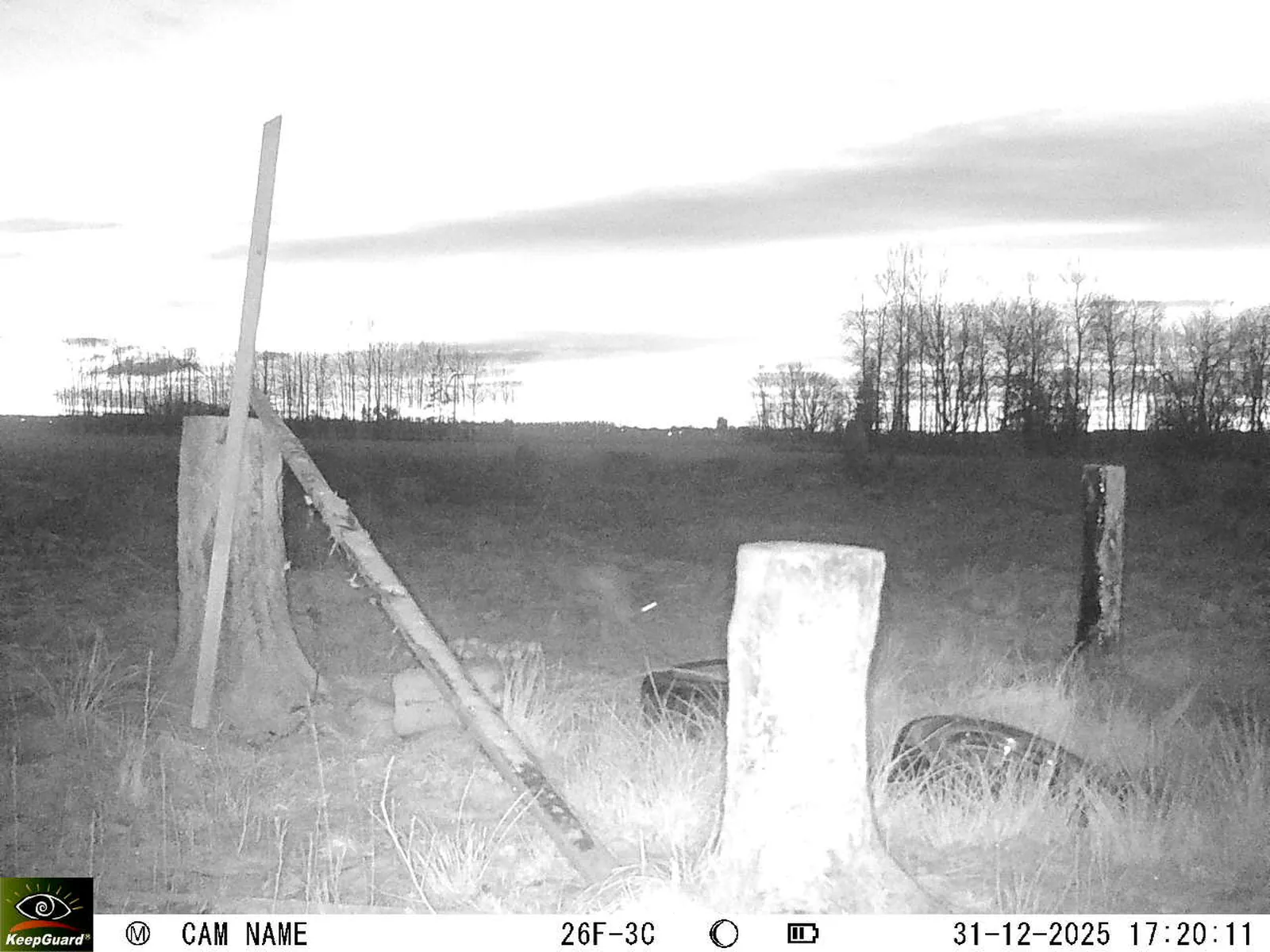 Bild: 1767194516365216679_12310244.webp