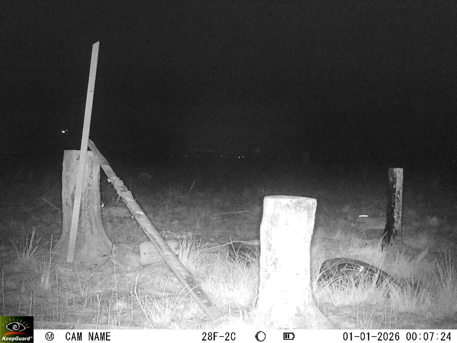 Bild: 1767218950728366261_01010245.webp