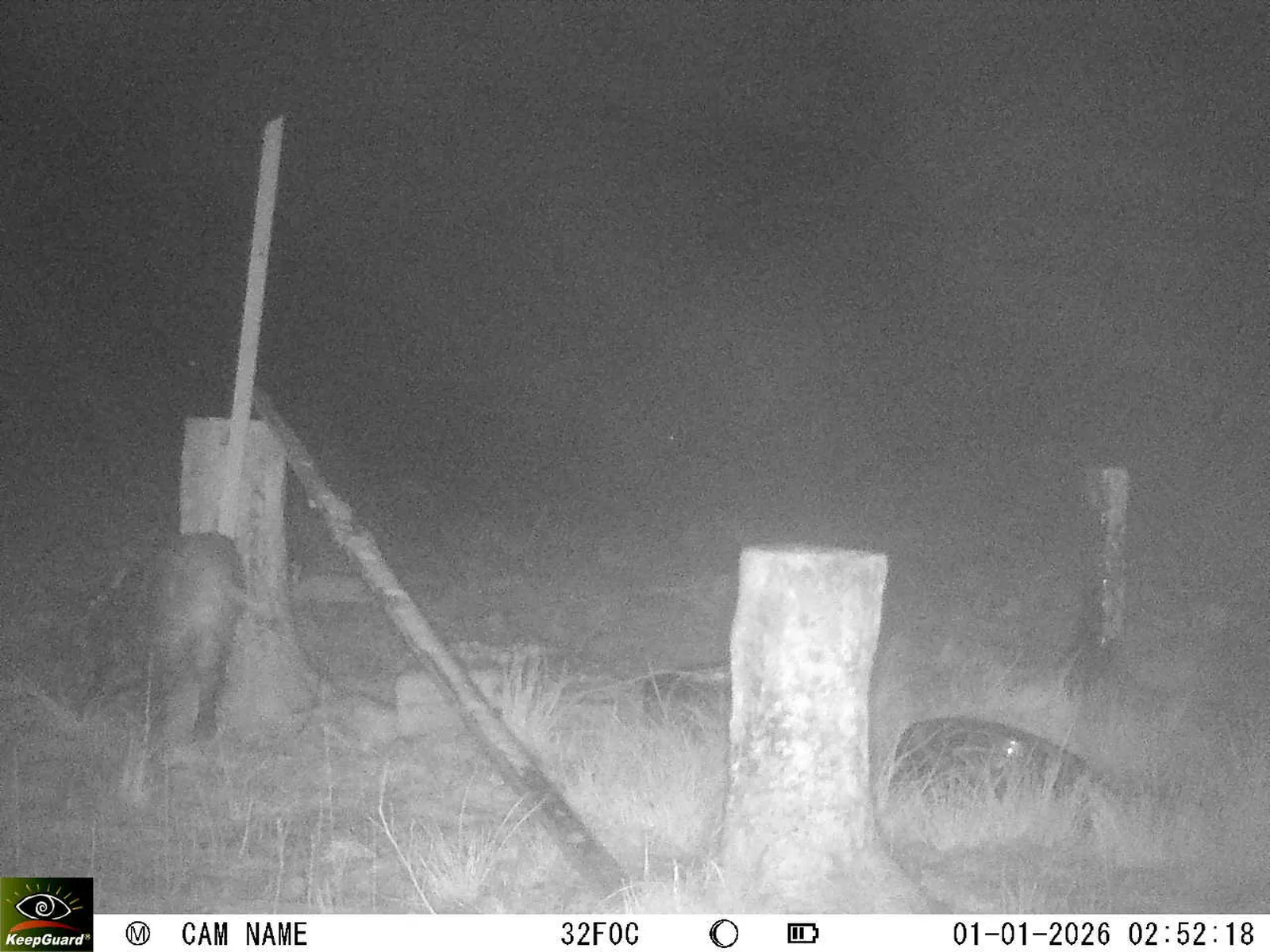 Bild: 1767228845866175215_01010246.webp