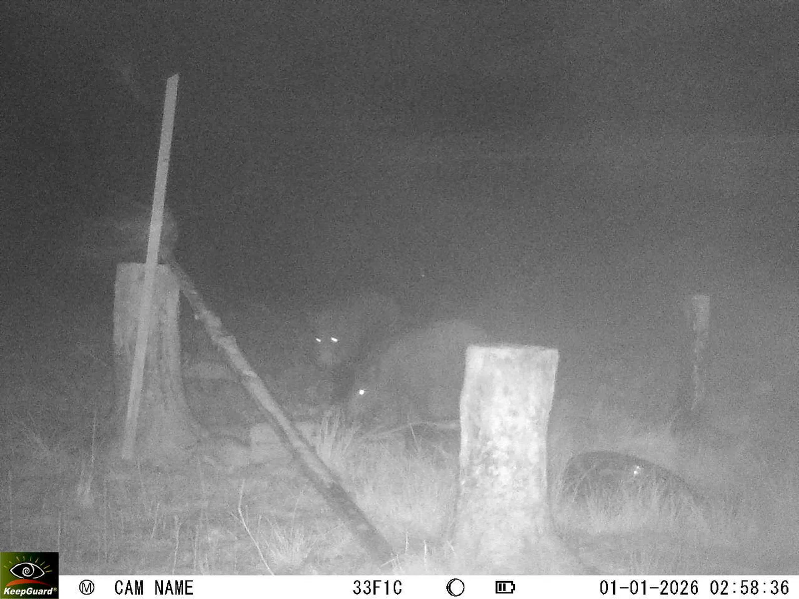 Bild: 1767229222136083485_01010247.webp