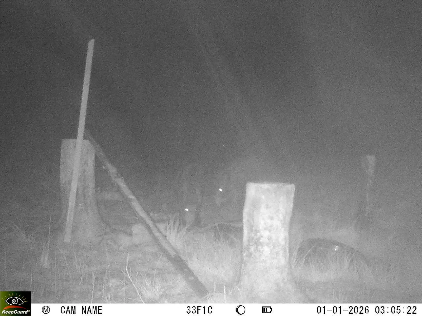 Bild: 1767229626605210644_01010248.webp