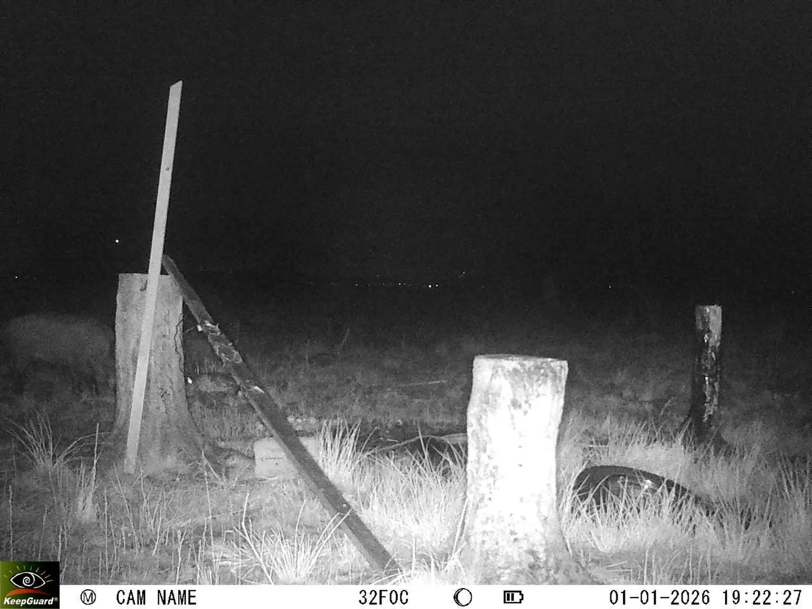 Bild: 1767288254349268767_01010270.webp