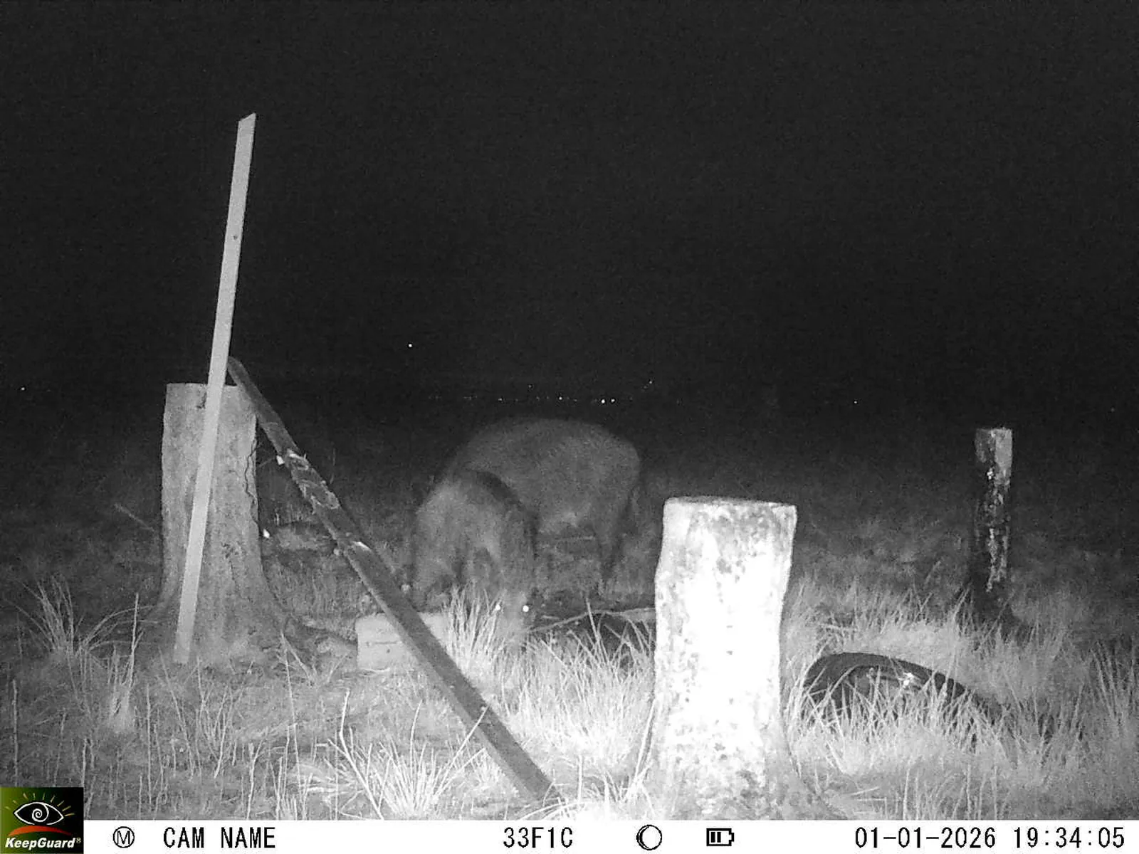 Bild: 1767288950299632828_01010272.webp