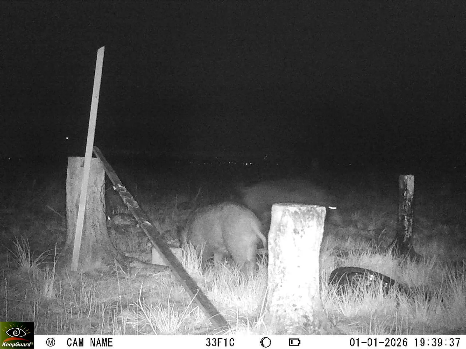 Bild: 1767289282952462927_01010273.webp