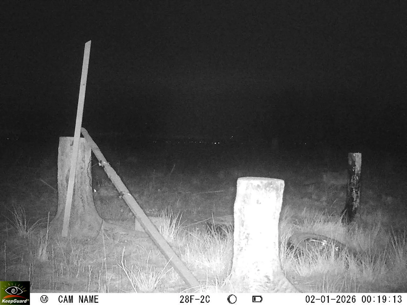 Bild: 1767306060421668513_01020274.webp