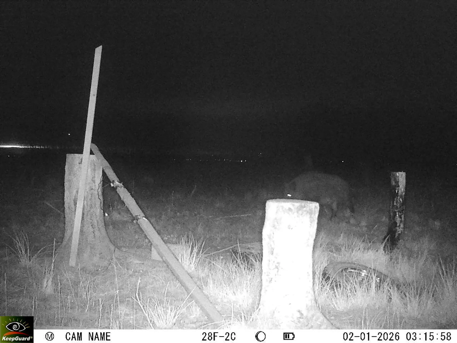 Bild: 1767316667096495182_01020275.webp