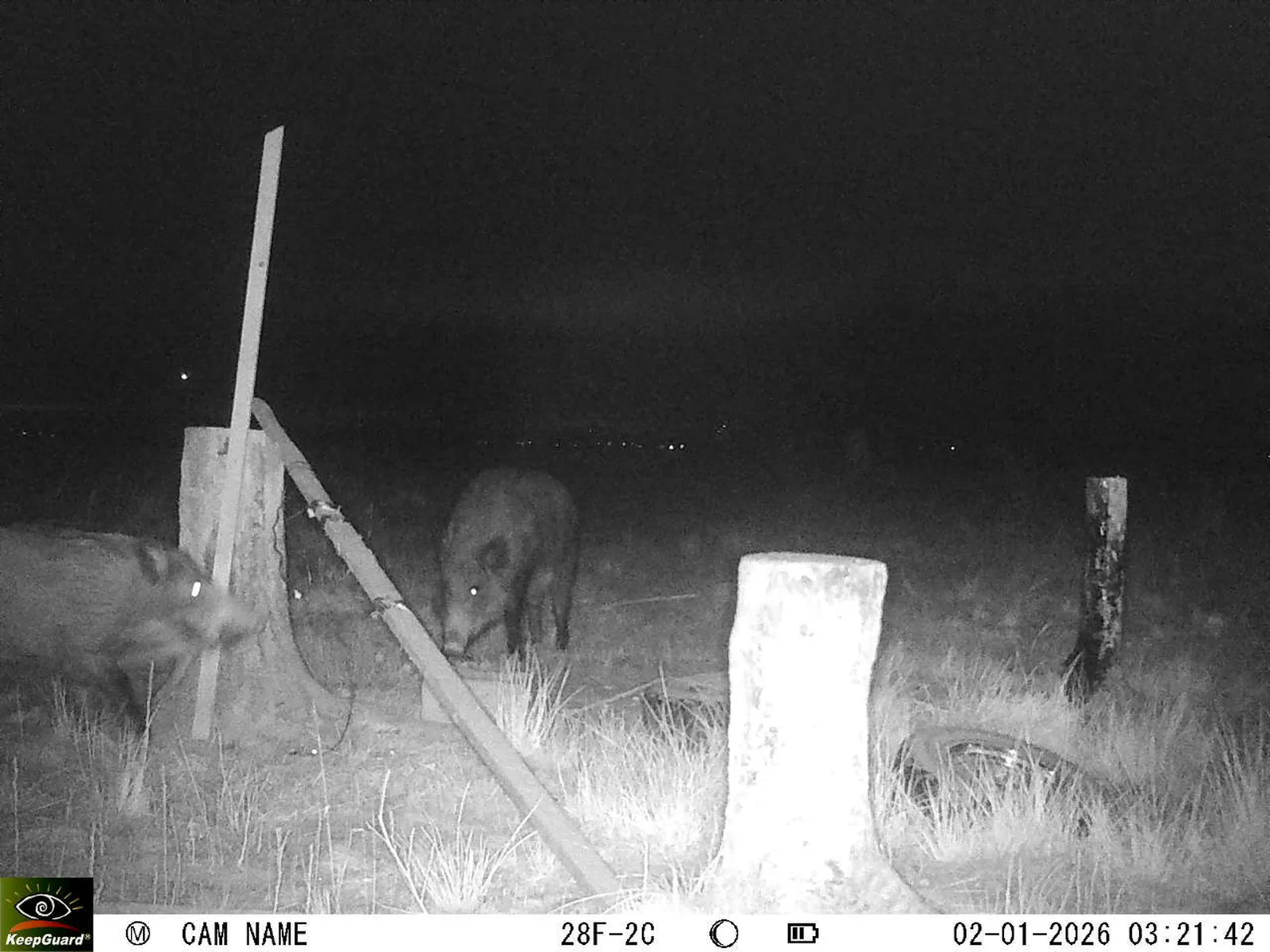 Bild: 1767317008771101471_01020276.webp