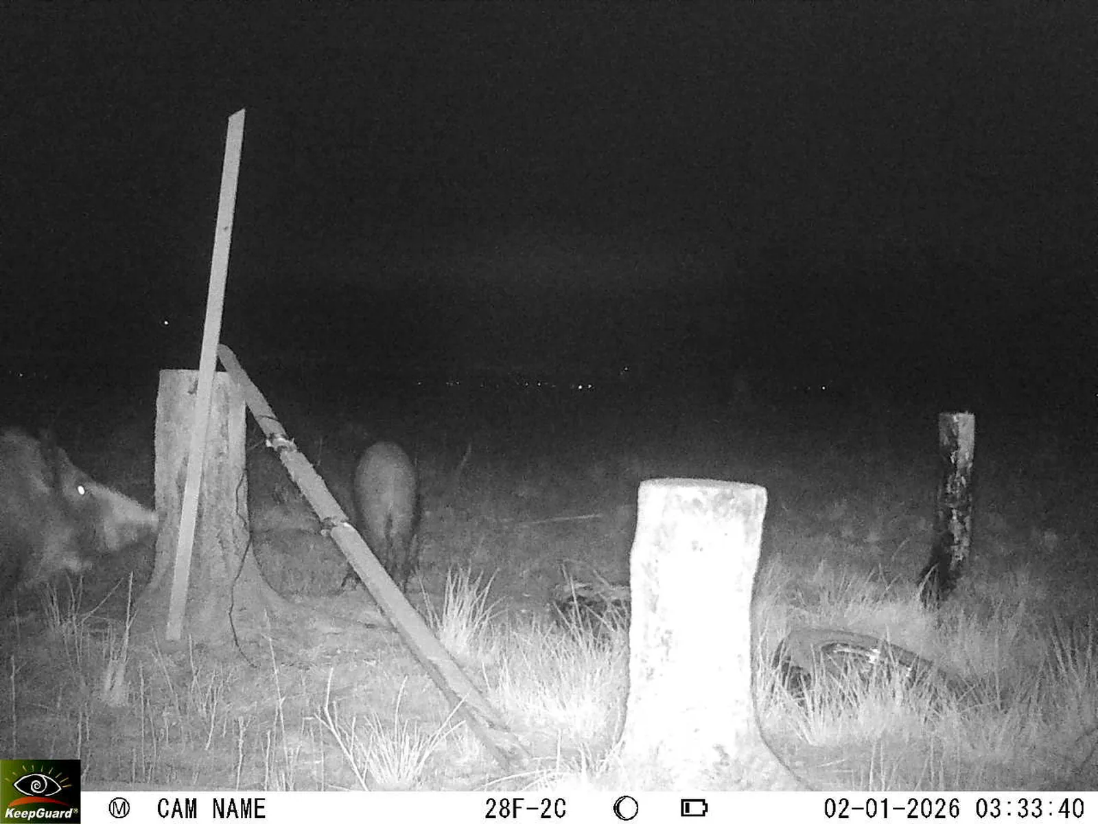 Bild: 1767317727003949885_01020278.webp