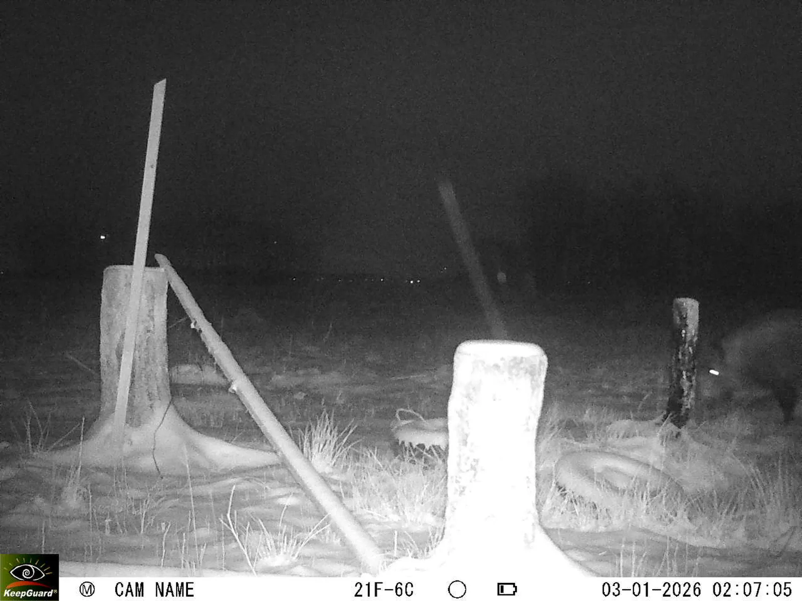 Bild: 1767398934750539160_01030281.webp