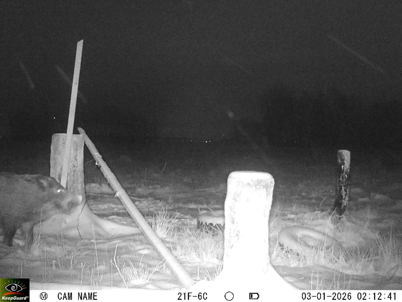 Bild: 1767399269349802532_01030282.webp