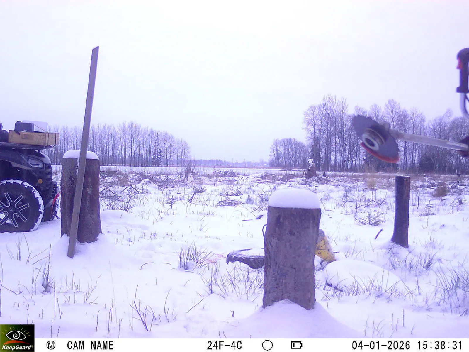 Bild: 1767534023897135190_01040284.webp