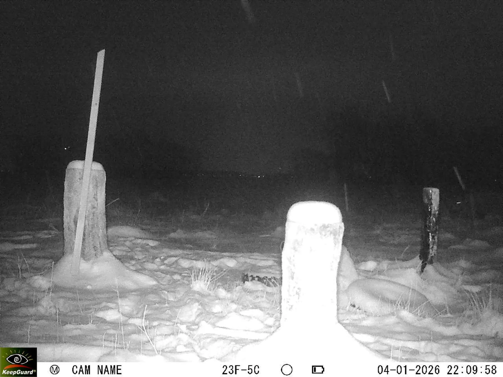 Bild: 1767557512392986984_01040285.webp