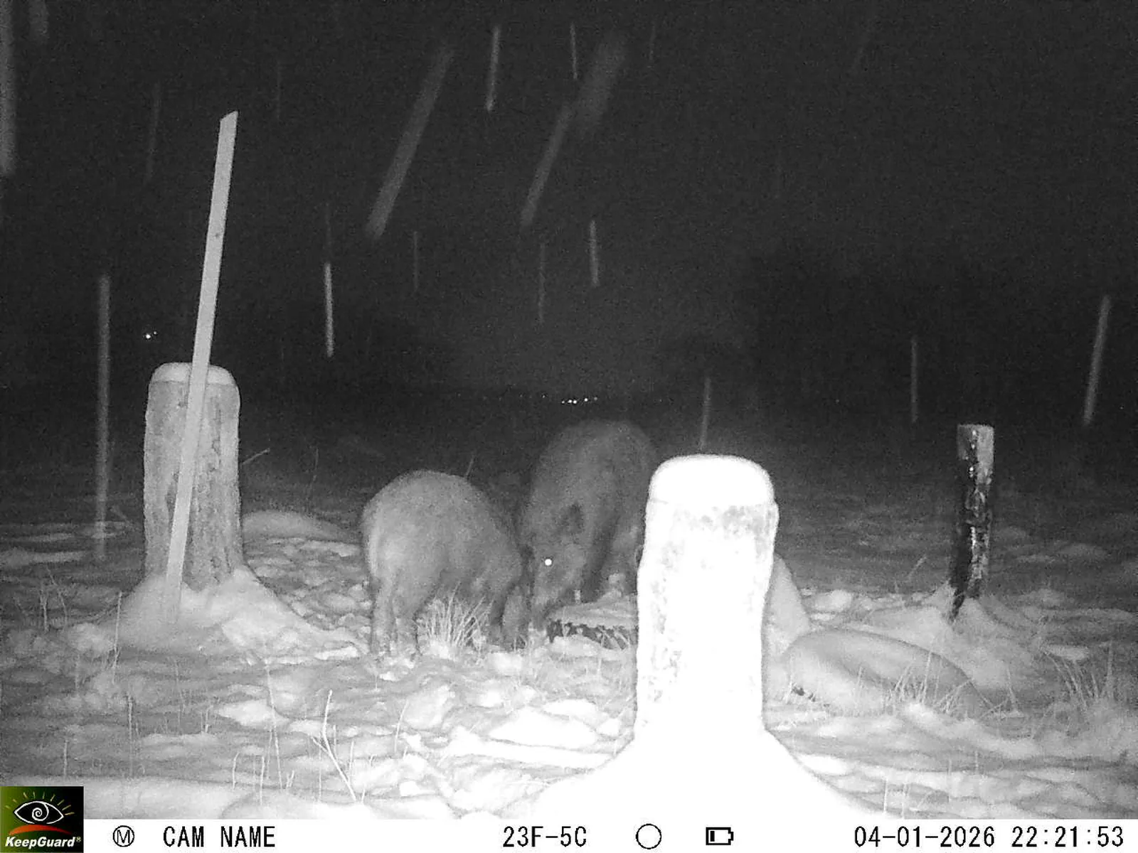 Bild: 1767558227201588982_01040287.webp