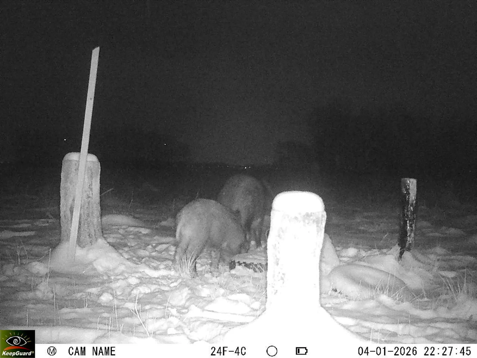 Bild: 1767558579636641539_01040288.webp