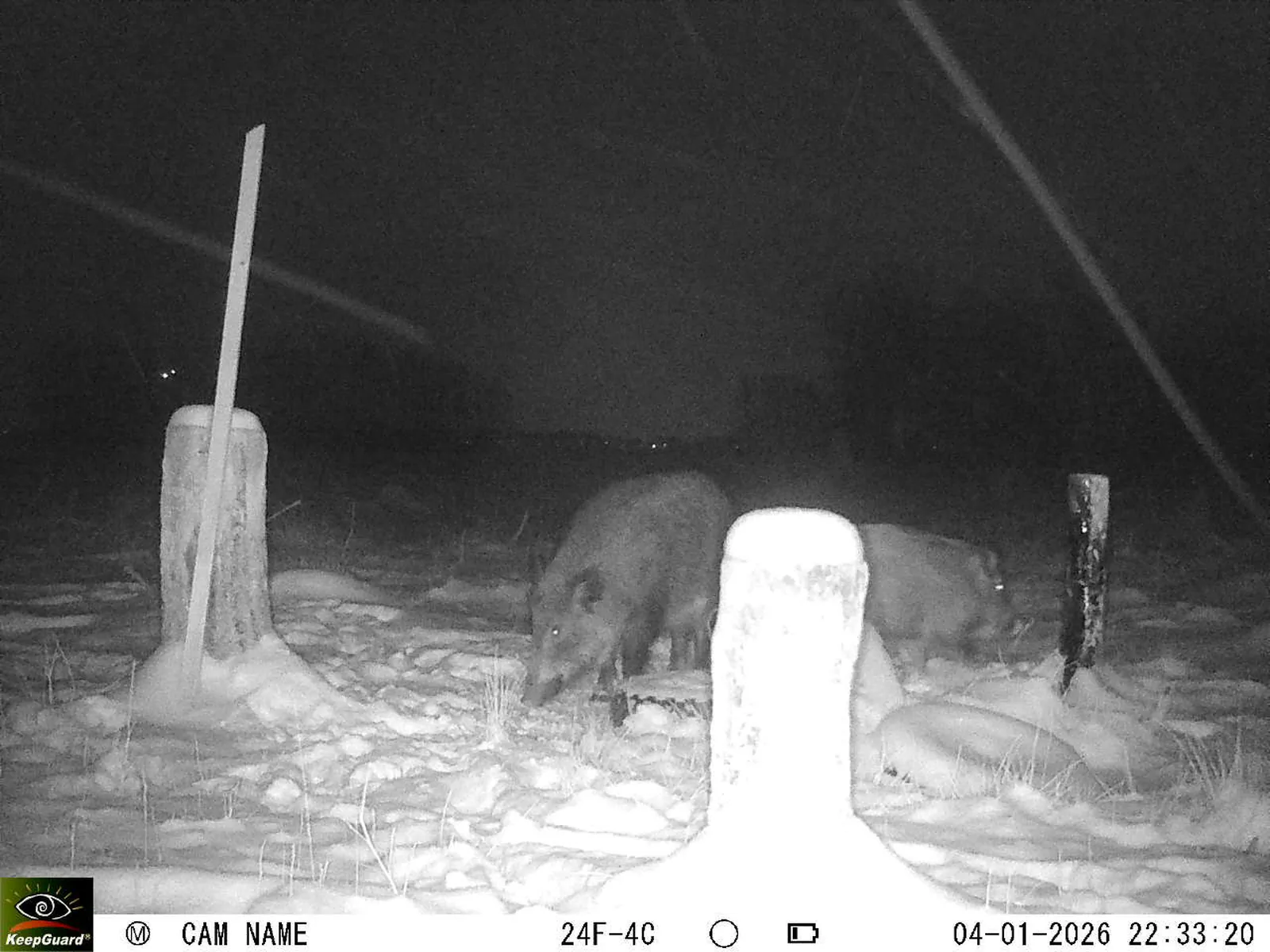 Bild: 1767558912673274575_01040289.webp