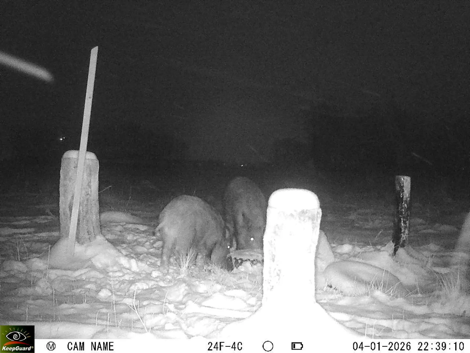 Bild: 1767559263591207578_01040290.webp