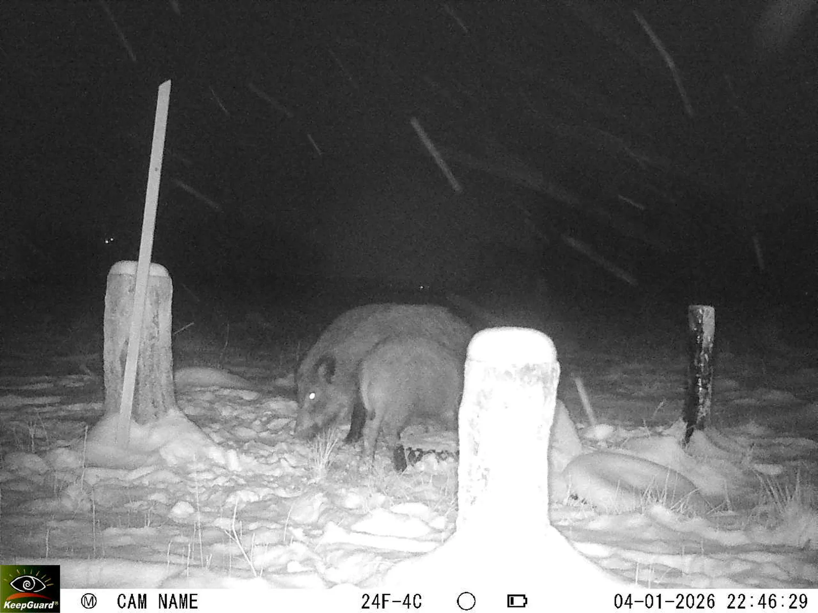 Bild: 1767559702455292706_01040291.webp