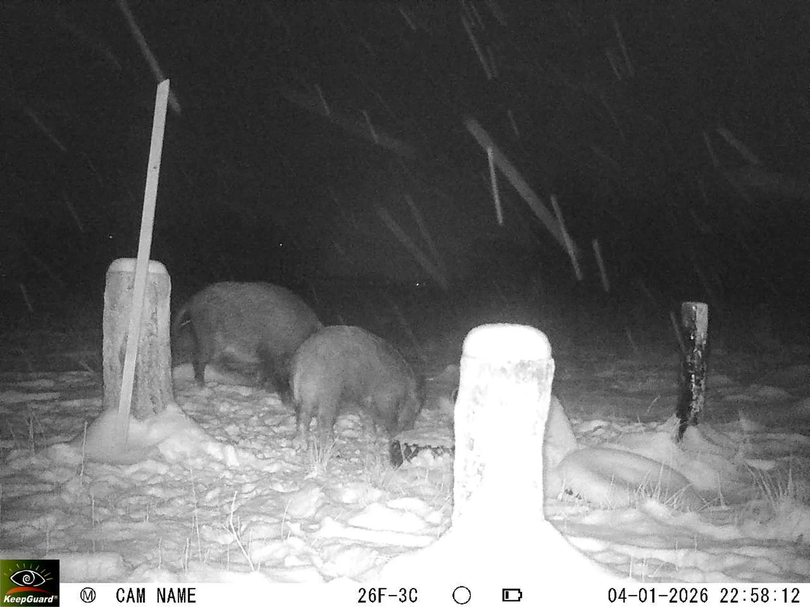 Bild: 1767560405447499897_01040293.webp